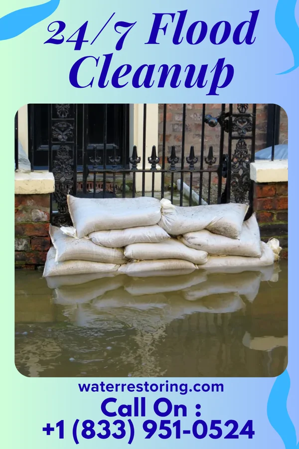24/7 Flood Cleanup in Chilhowee, MO