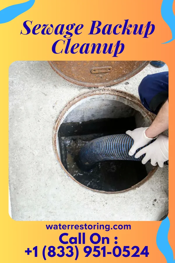 Sewage Backup Cleanup in Chilhowee, MO